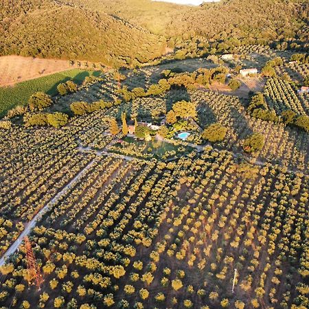 Agriturismo Podere Valdo Gavorrano Buitenkant foto