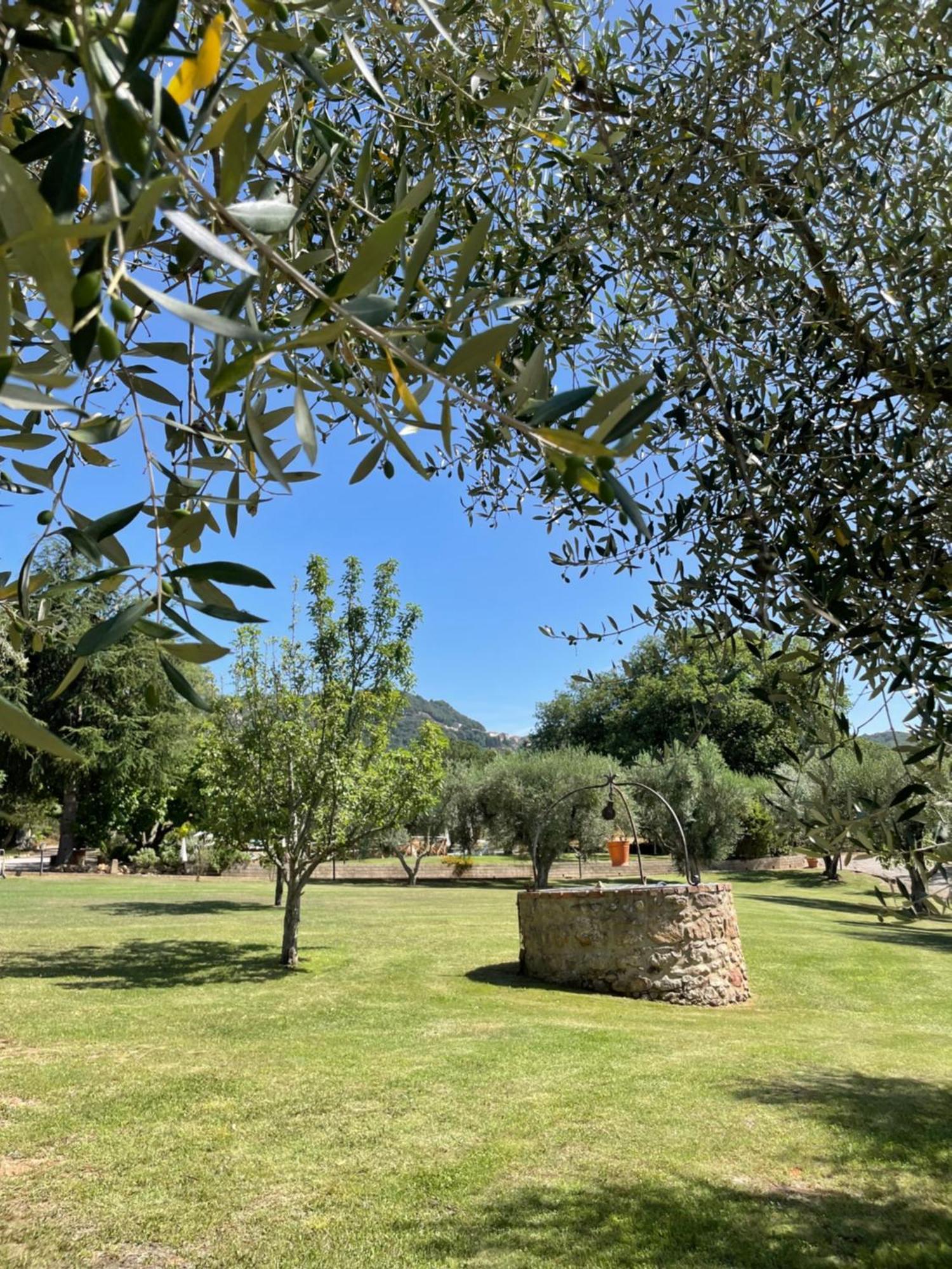 Agriturismo Podere Valdo Gavorrano Buitenkant foto