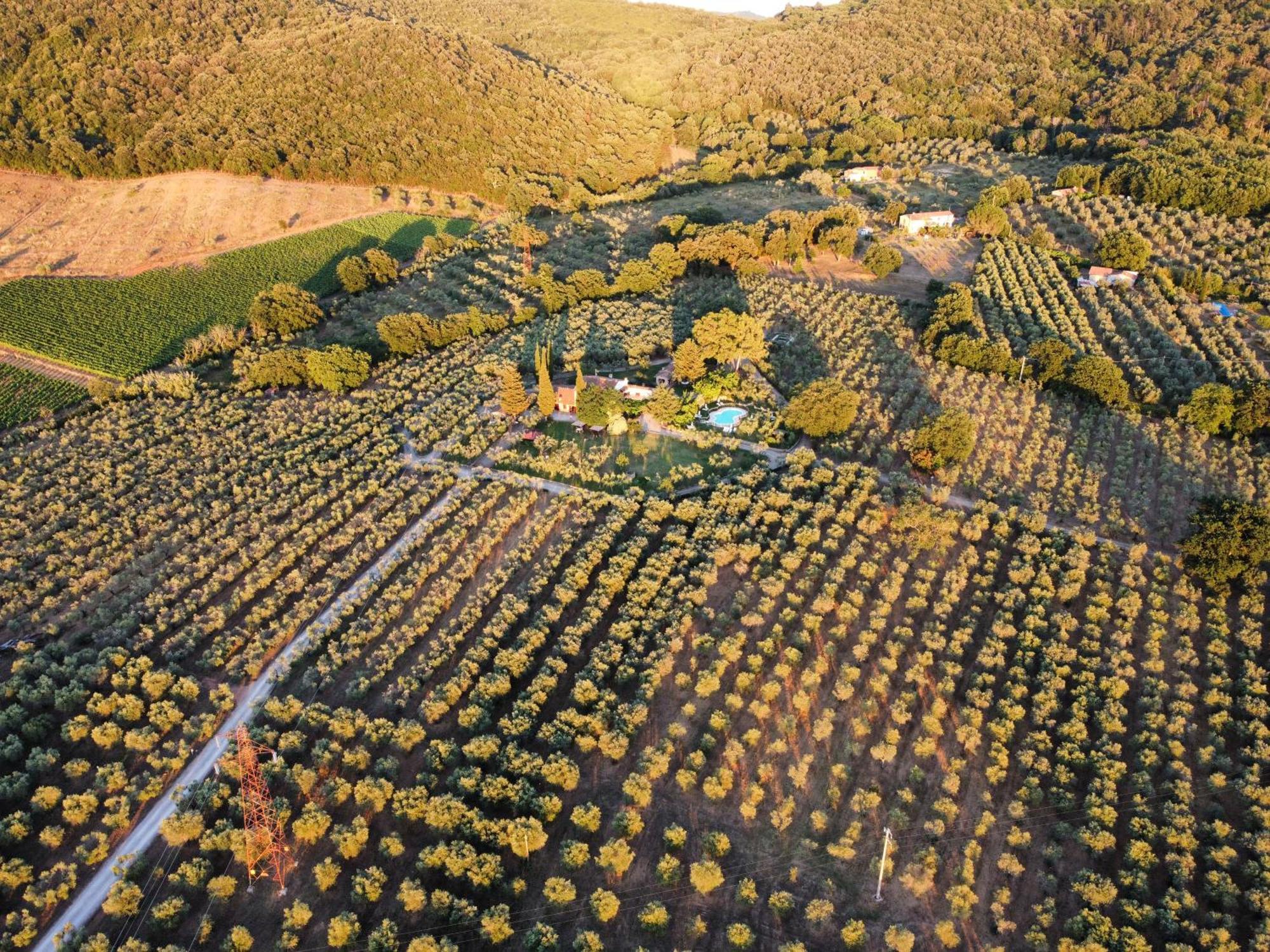 Agriturismo Podere Valdo Gavorrano Buitenkant foto