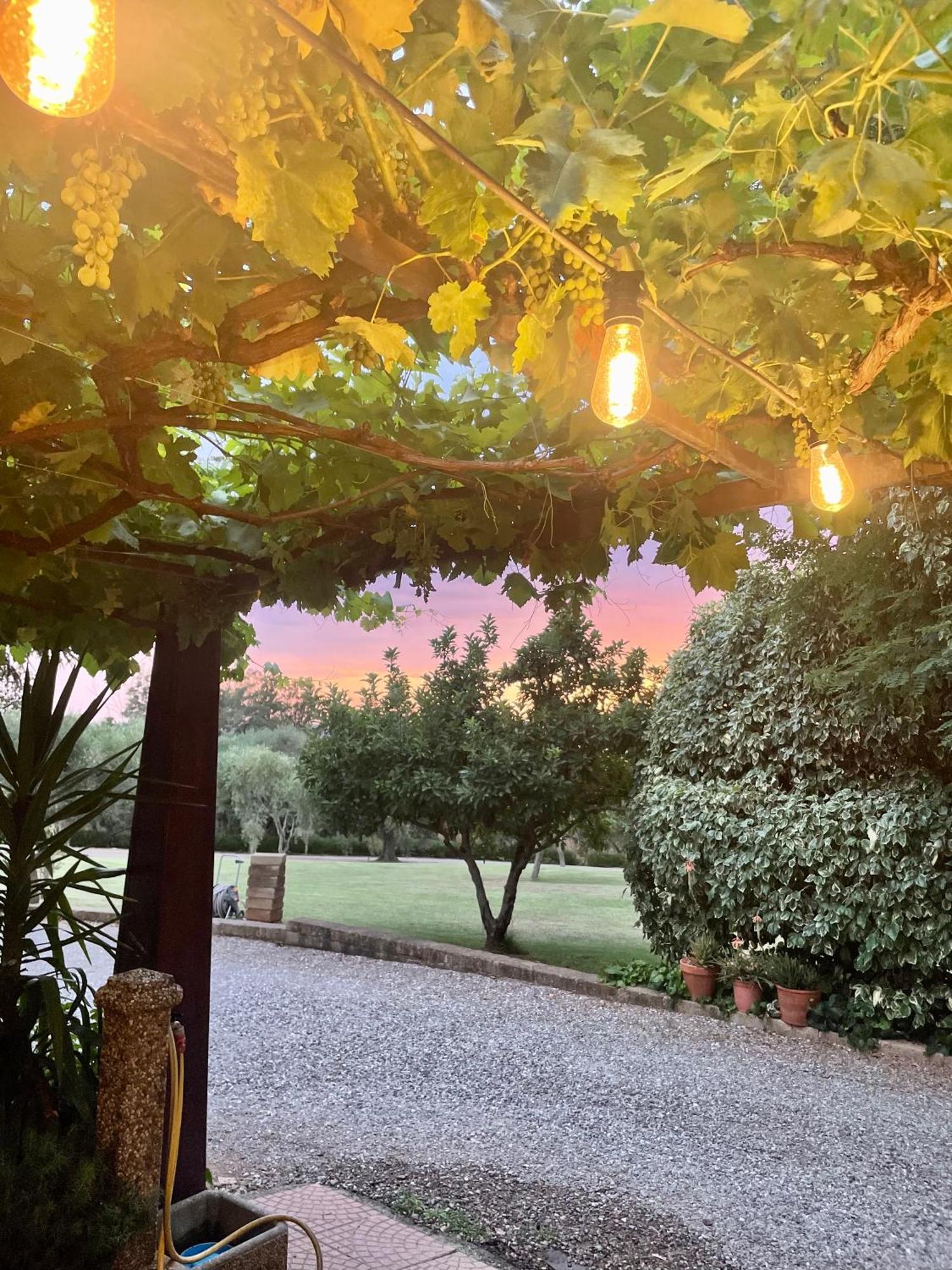 Agriturismo Podere Valdo Gavorrano Buitenkant foto