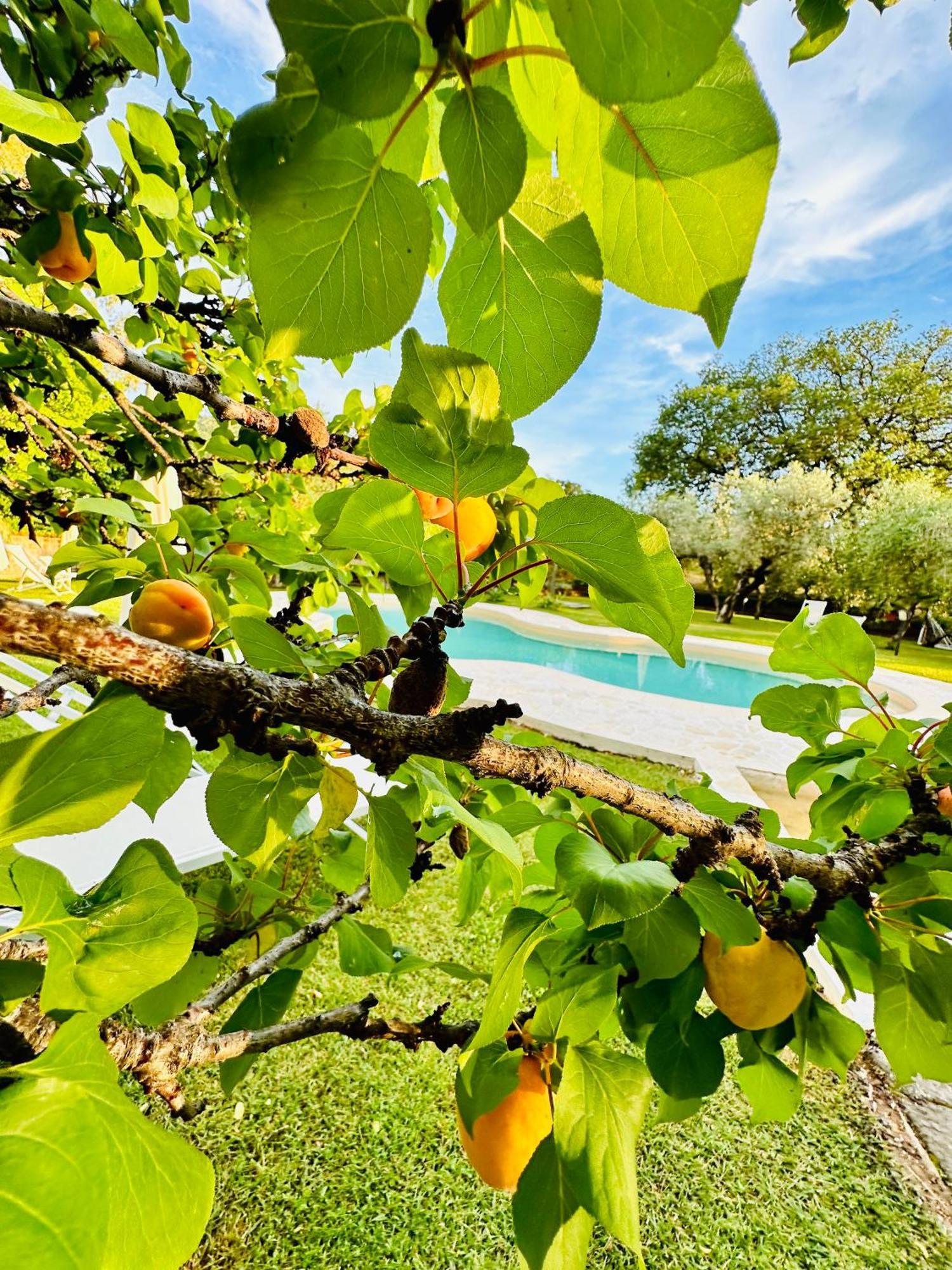 Agriturismo Podere Valdo Gavorrano Buitenkant foto